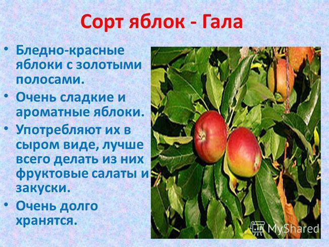Разновидности и описание крымских сортов