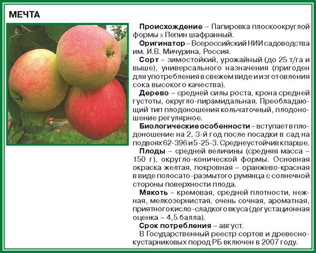 Подходит ли климат Ленинградской области для выращивания яблонь