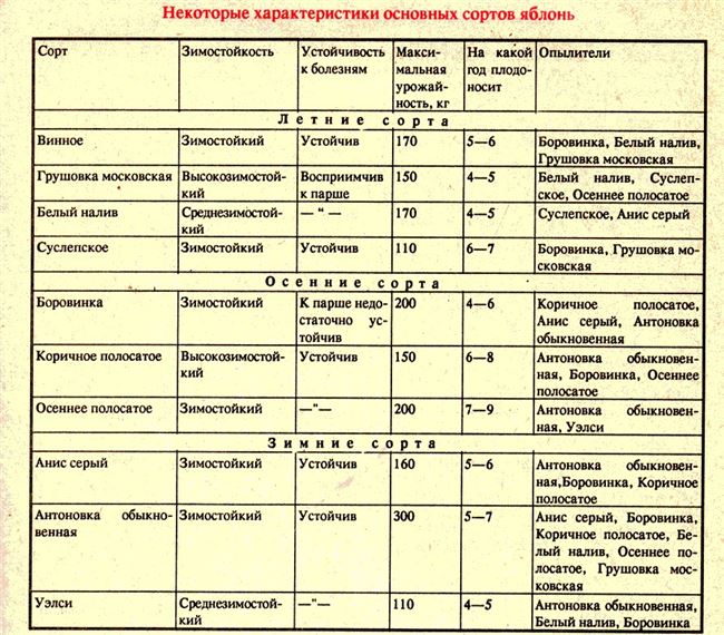 Подбираем оптимальный вариант почвы