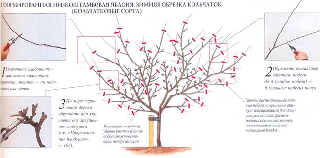 Обрезка