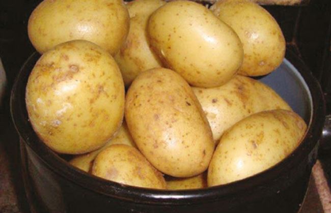 Описание сорта картофеля Джура