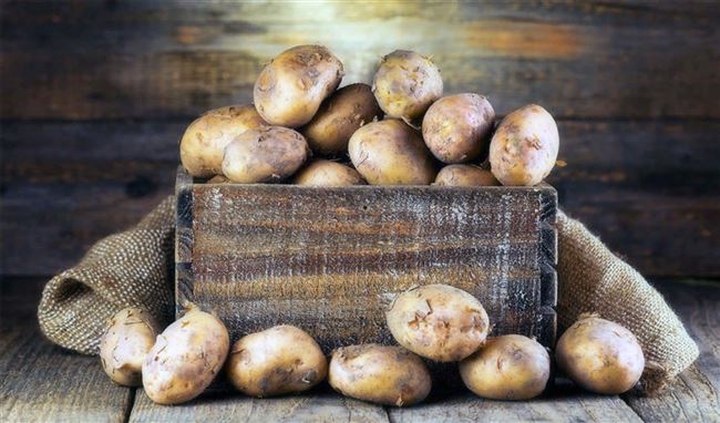 Хранение картофеля в черных мешках
