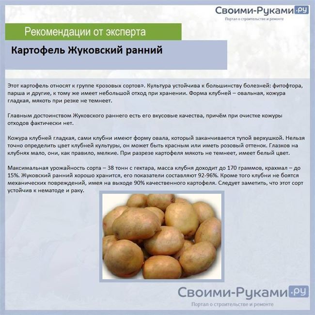 Характеристики сортов картофеля
