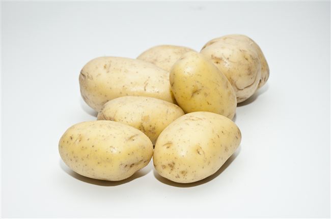 Характеристика картофеля