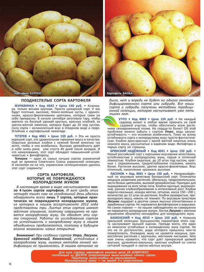 Описание сортов картофеля (каталог)
