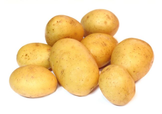 Характеристика картофеля Джелли
