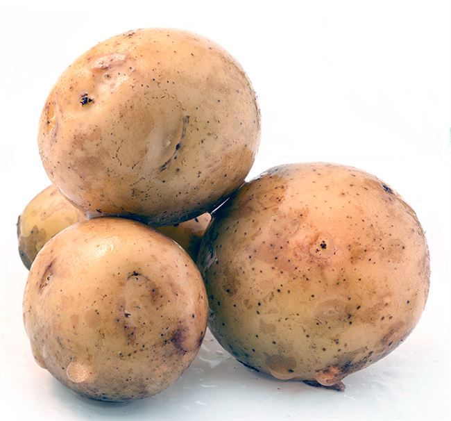 Описание картофеля Адретта из Госреестра