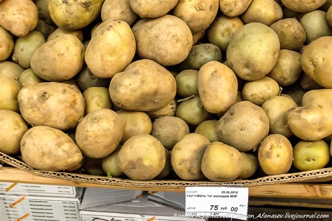 Характеристики картофеля Магаданский