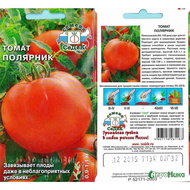 Урожайность томата Очарование и плодоношение