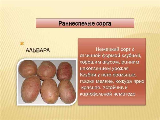 Характеристики сортов картофеля