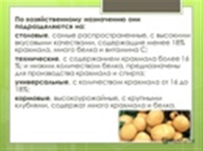 Таблица: достоинства и недостатки посадки картофеля семенами
