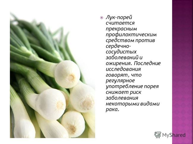 Лук порей рецепты - Арт Минск.ру