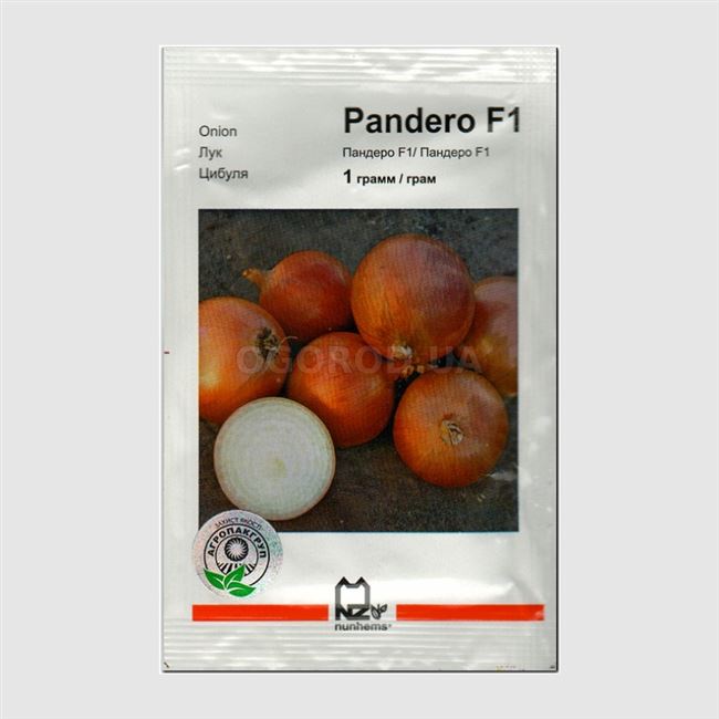 Лук Пандеро F1 (1 млн. семян), семена, уход, посадка