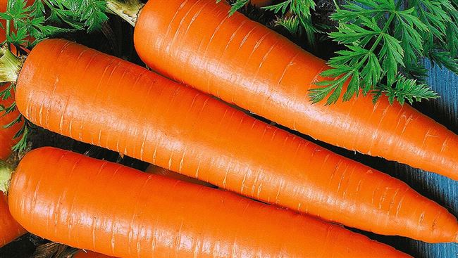 Применение моркови