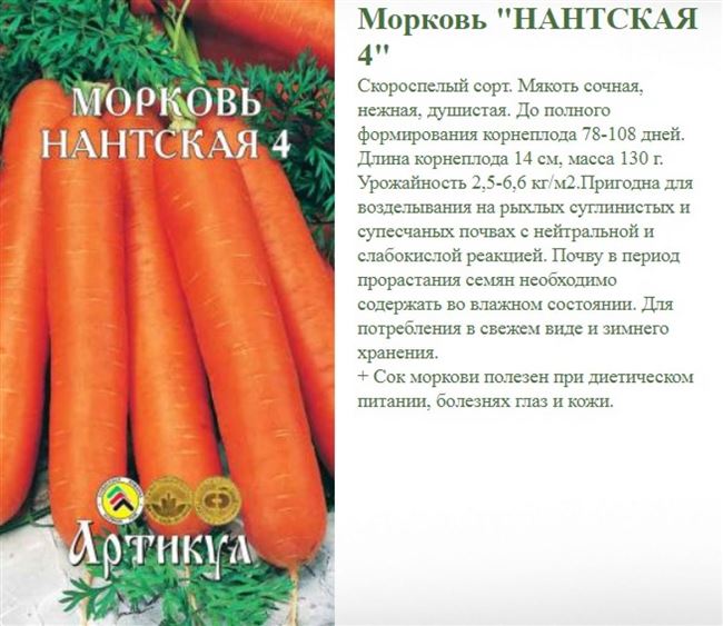 Урожайность моркови Нантская 4