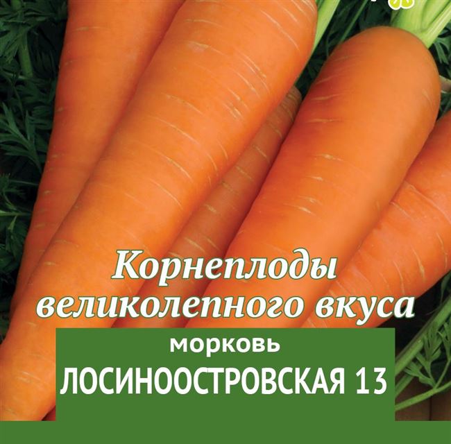  Морковь Лосиноостровская 13