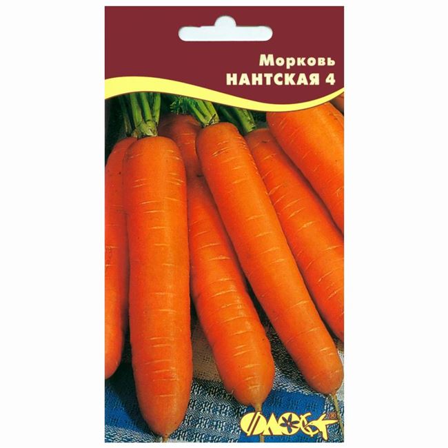 Описание сорта моркови Нантская 4