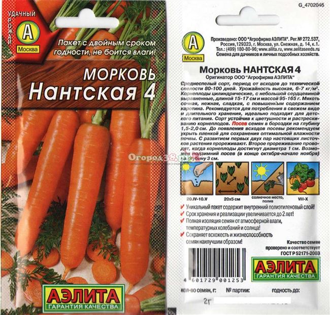 Урожайность моркови Нантская 4