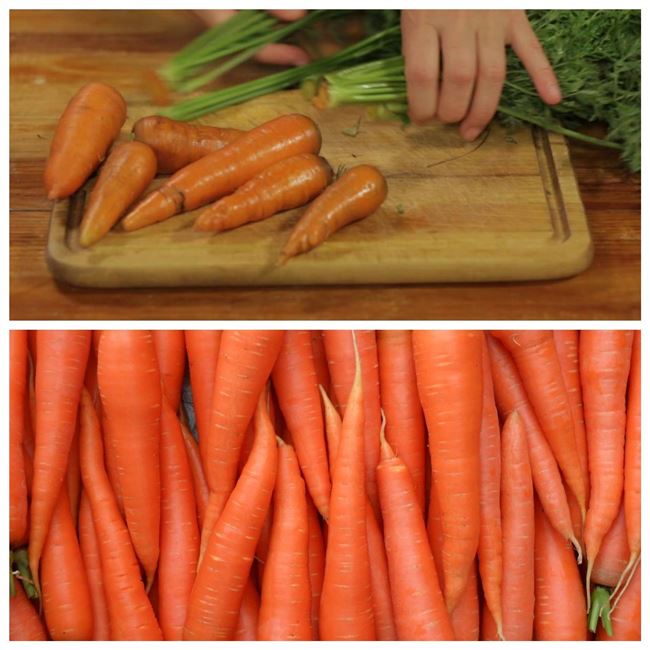 Как правильно организовать хранение моркови