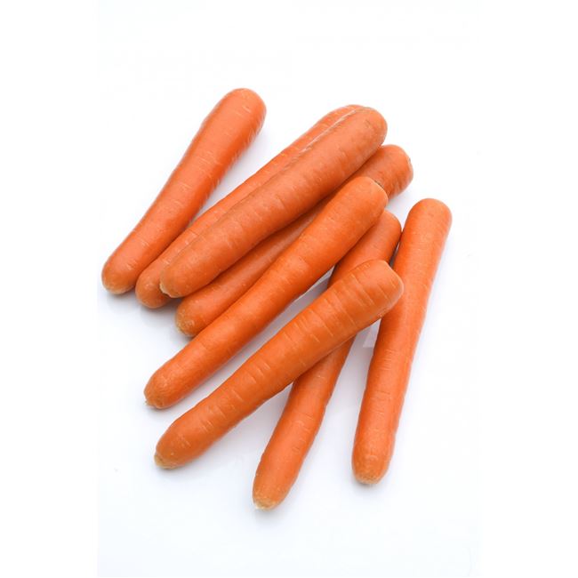 Заказать семена моркови Сопрано F1