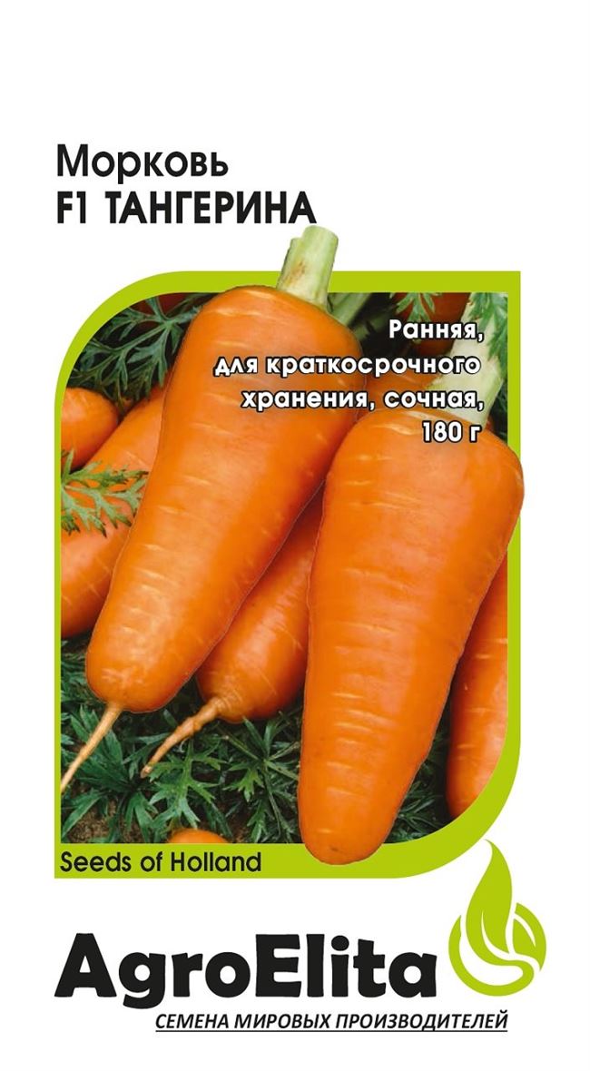 Заказать семена моркови Тангерина F1