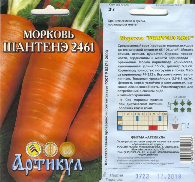 Описание сорта морковь Шантане