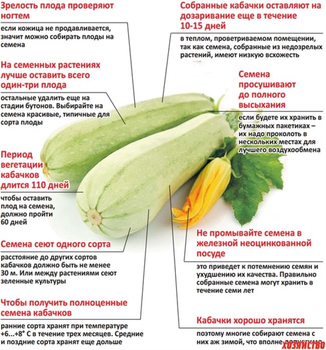 Про овощи - технология выращивания, агротехника, советы,отзывы