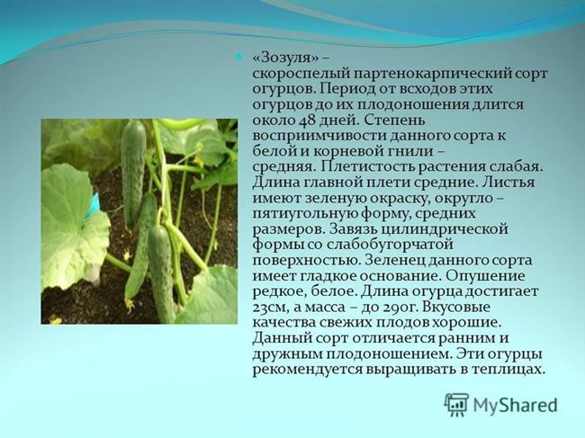 Особенности ухода