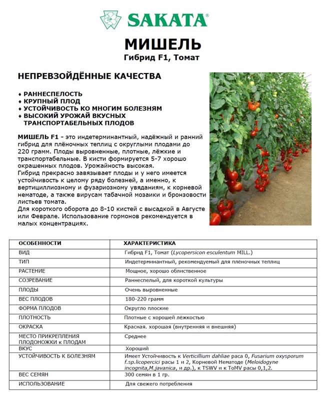 Описание томата Дородный, агротехника выращивания и отзывы о сорте
