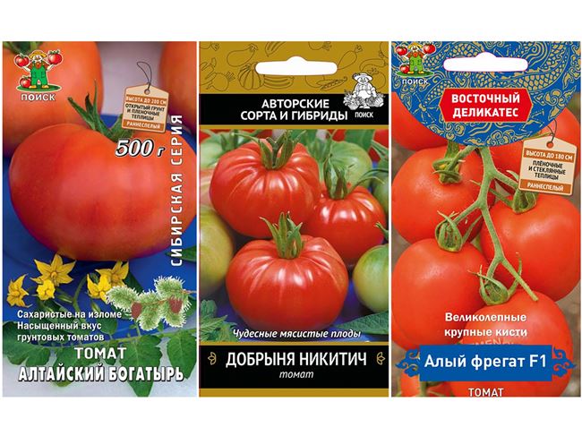 Урожайность томата Алый фрегат и плодоношение