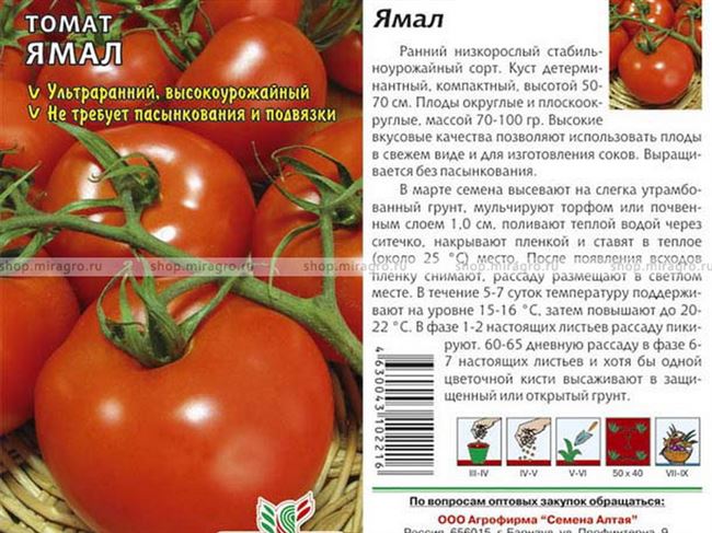 Характеристика сорта томатов Ямал
