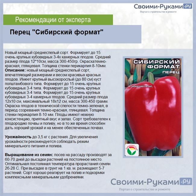 Описание и характеристика перца сорта Сибирский формат, отзывы, фото