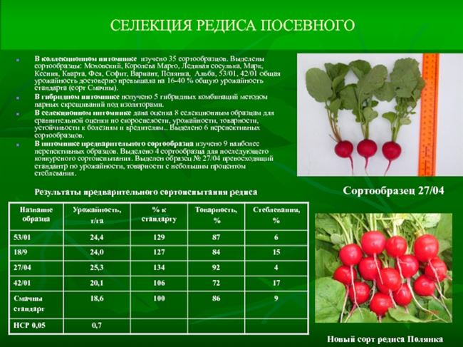 Тепловой и световой режим