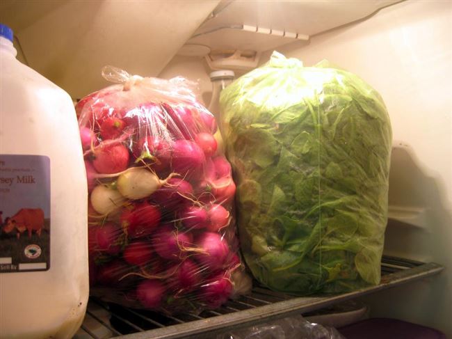 Хранение свежего редиса в холодильнике сухим способом