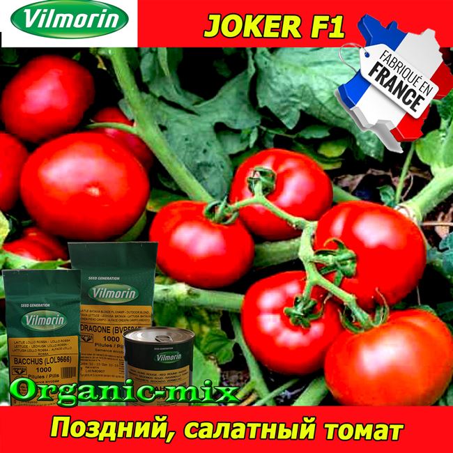 Заказать семена томата Джокер F1