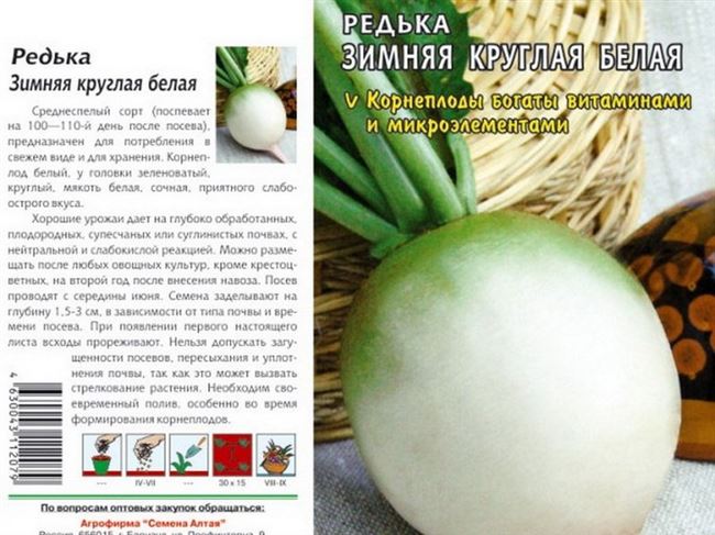 Редька - описание продукта на Gastronom.ru
