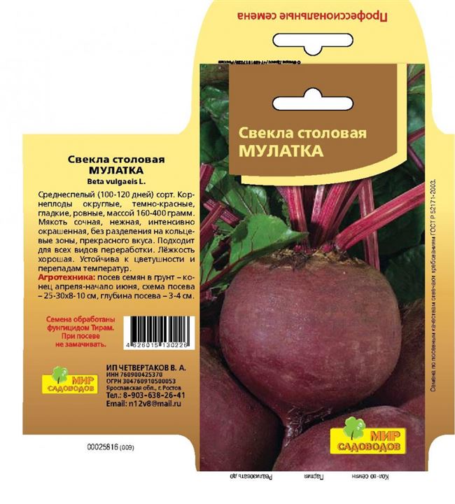 Описание свеклы Мулатка-Шоколадка
