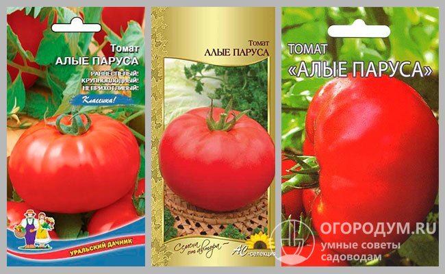 Что представляет собой томат Алые паруса?