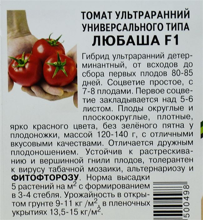Как выращивать этот томат