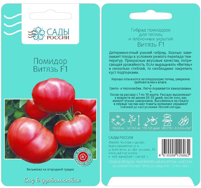 Описание и характеристики сорта томата Витязь, урожайность и выращивание