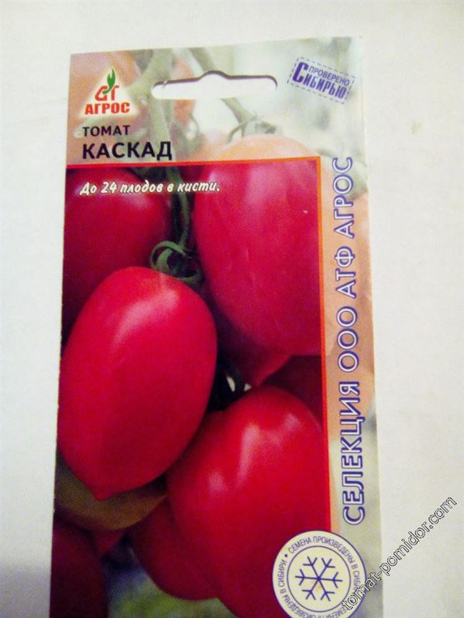 Урожайность томата Каскад