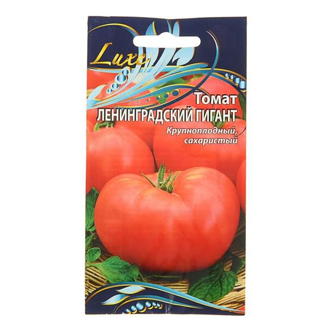 Что представляет собой томат Ленинградский гигант?