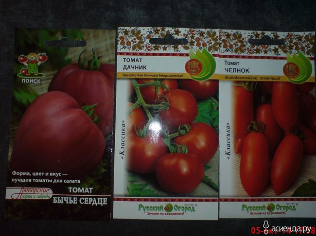 Фото посадки помидоров Дачник