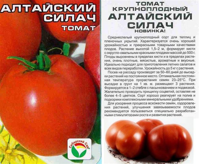 Описание сорта томатов Антюфей