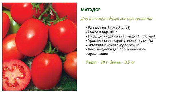 Характеристика и описание сорта томата Тамина, его урожайность