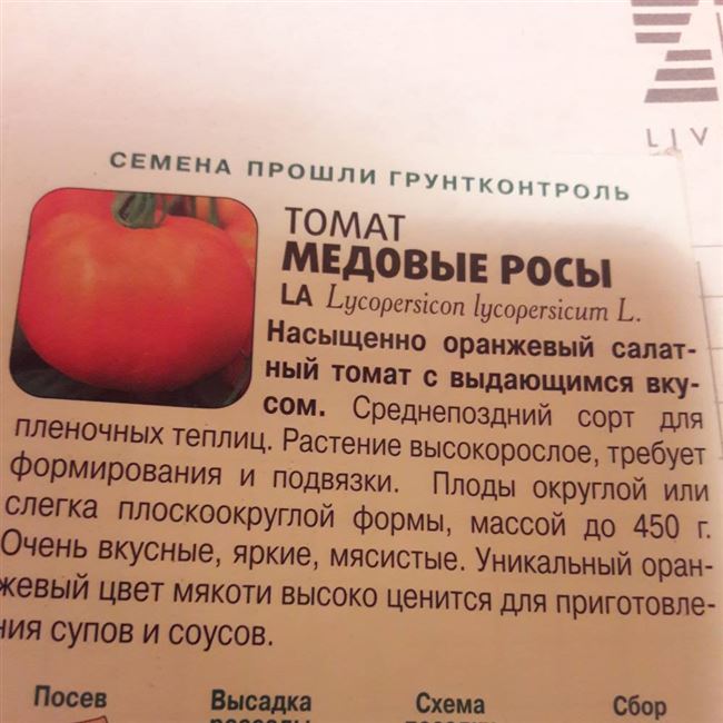 Характеристика томатов
