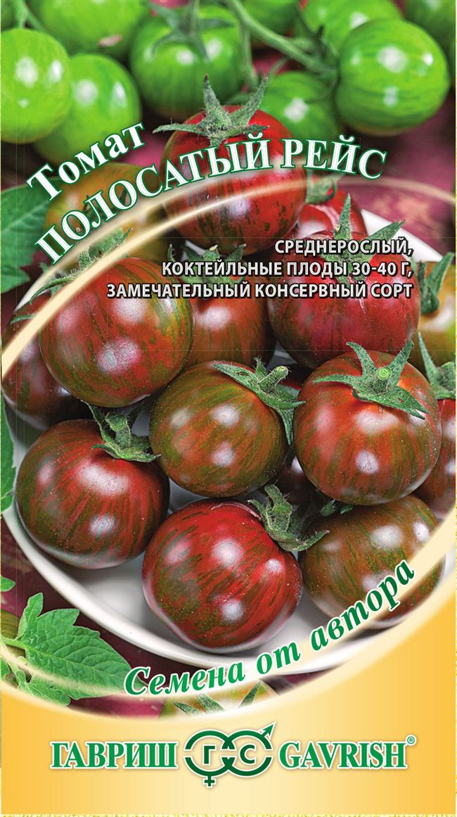 Урожайность томата Полосатый рейс