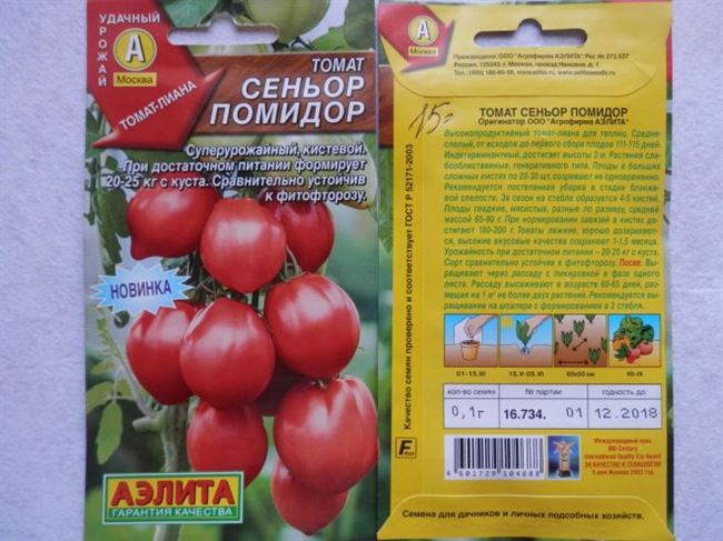 Описание сорта томата Сеньор помидор и его урожайность