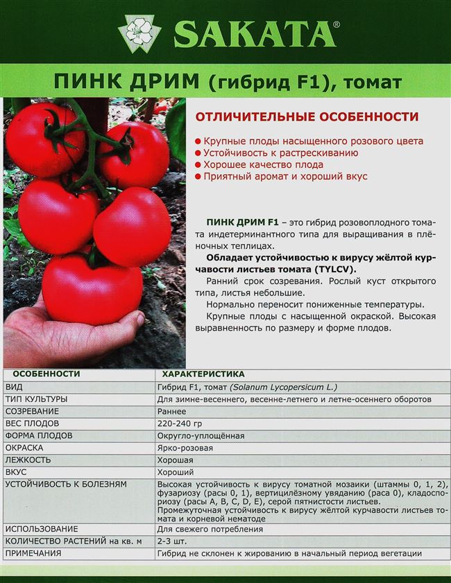 Особенности выращивания томата Сестра, посадка и уход