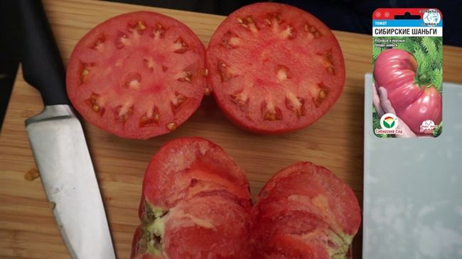 Использование и хранение томатов сорта Сибирские шаньги